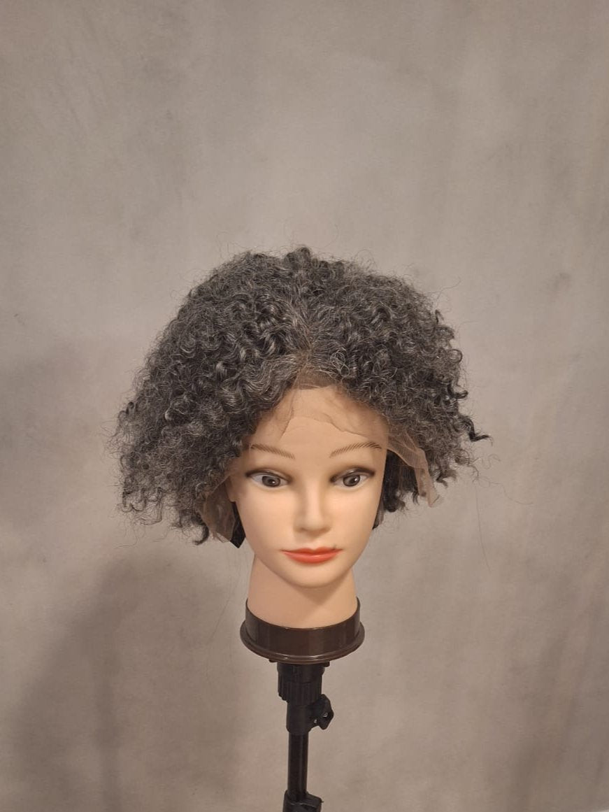 LACE FRONT WIG 13X 6 10 INCH CURLY